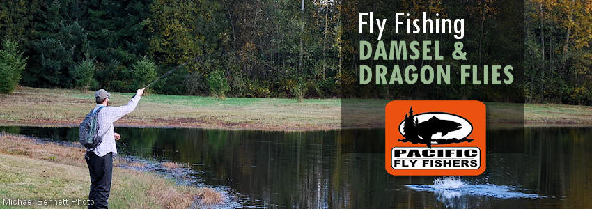 Fly fishing flies, damselflies, damsel dragonflies, dragon