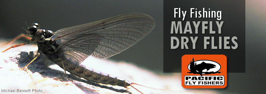 Fly fishing flies, mayfly dry