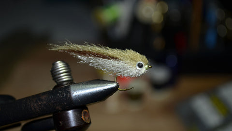 Tying the Pass Lake Minnow - Step 9