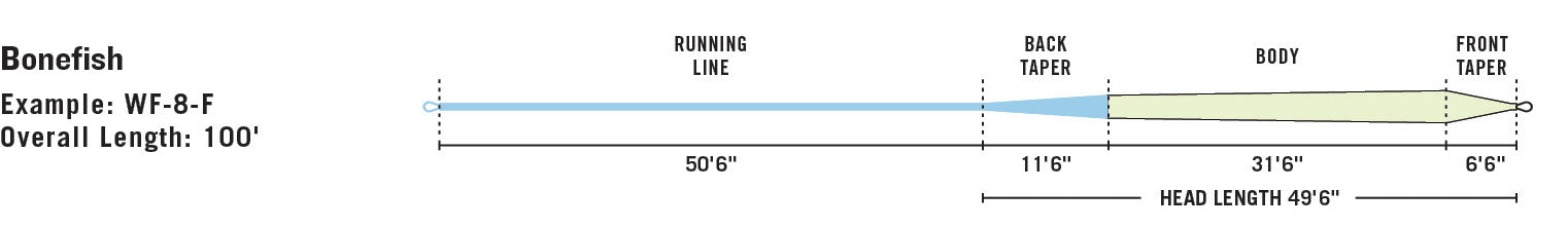 RIO Bonefish line taper diagram