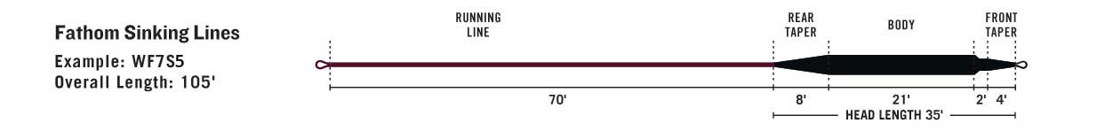 RIO Fathom Sink 5 line taper diagram