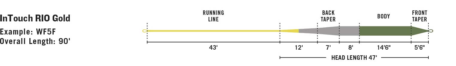 RIO InTouch Gold line taper diagram