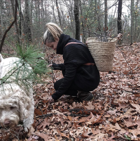 Why We Camp & How We Do It: April Foraging | Boston General Store