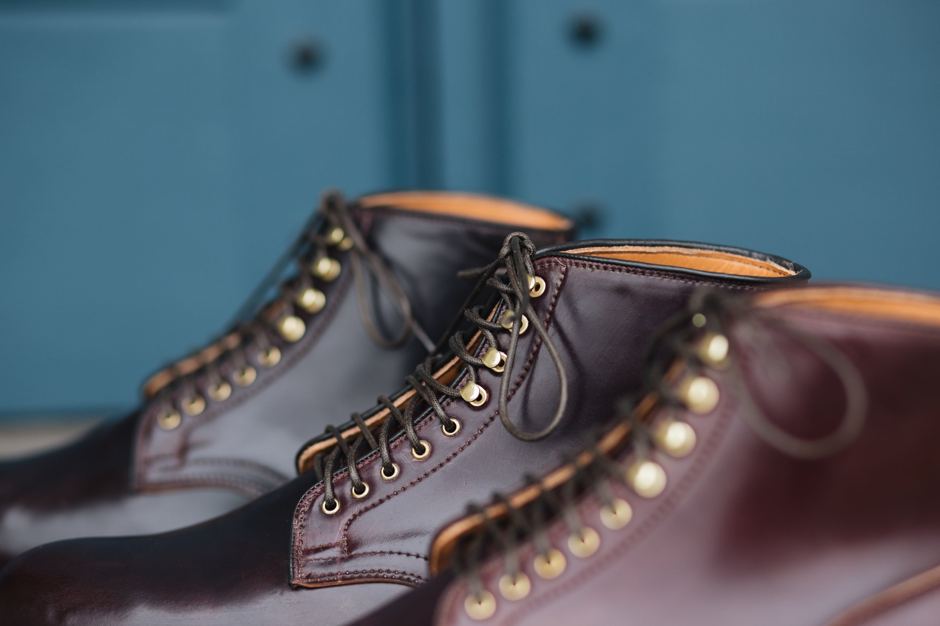 Gradient Shell Cordovan