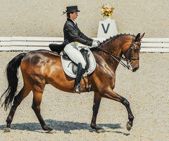 olympic dressage