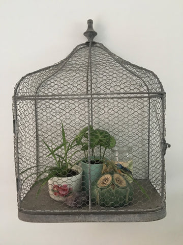 House plants in a bird cage
