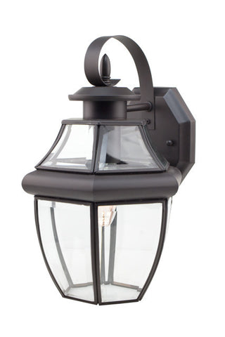 4310 BK Glass House 13" Outdoor Wall Light