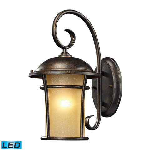 45036/1-LED Bolla Vista Outdoor Wall Light