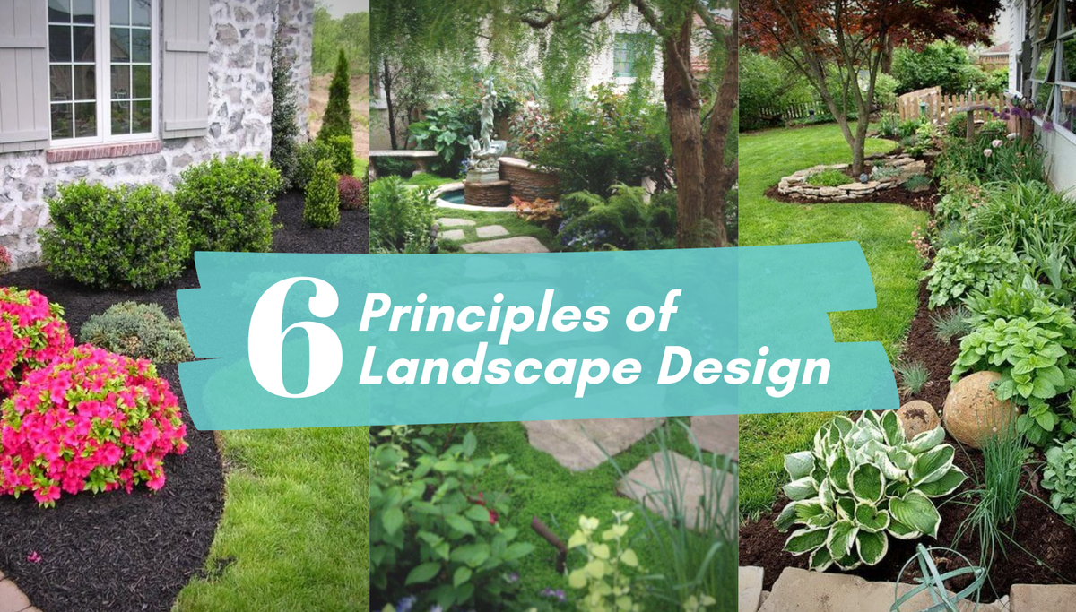 6 Principles of Landscape Design | Garden Goods Direct