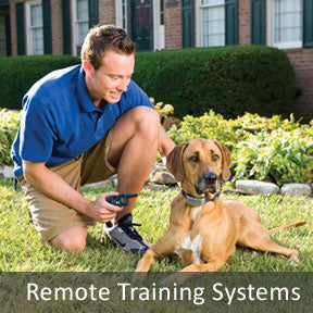 Remote Training Systems