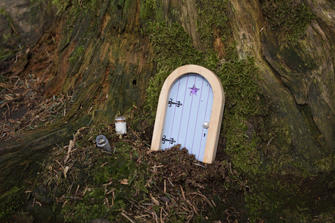 Fairy Door