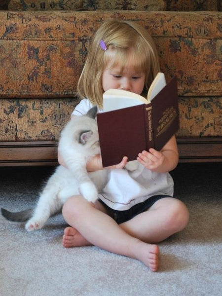 طفلة تقرأ مع قطة