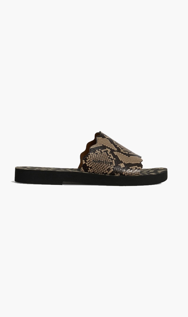 HIM Co S.p.A. SHOE See by Chloé | Essie Mules - Snake Logo