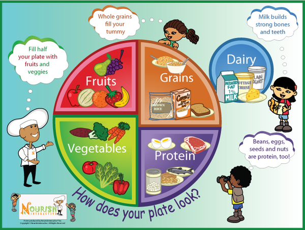my-plate-five-food-groups-poster-nourish-interactive-nutrition