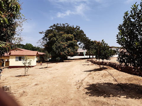 Die Schule des Projekt Misside Guinea