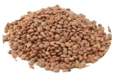 Brown Lentils