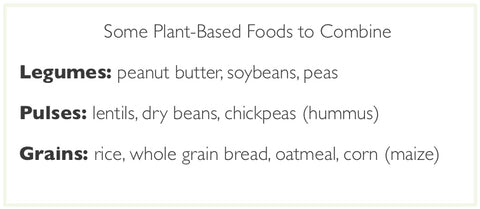 Plant based foods