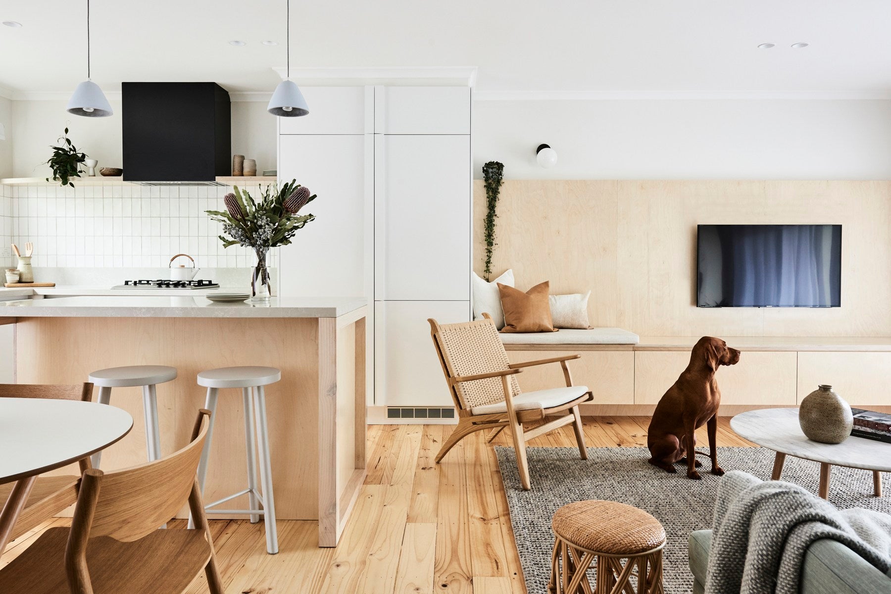 living room with a dog and neutral colors