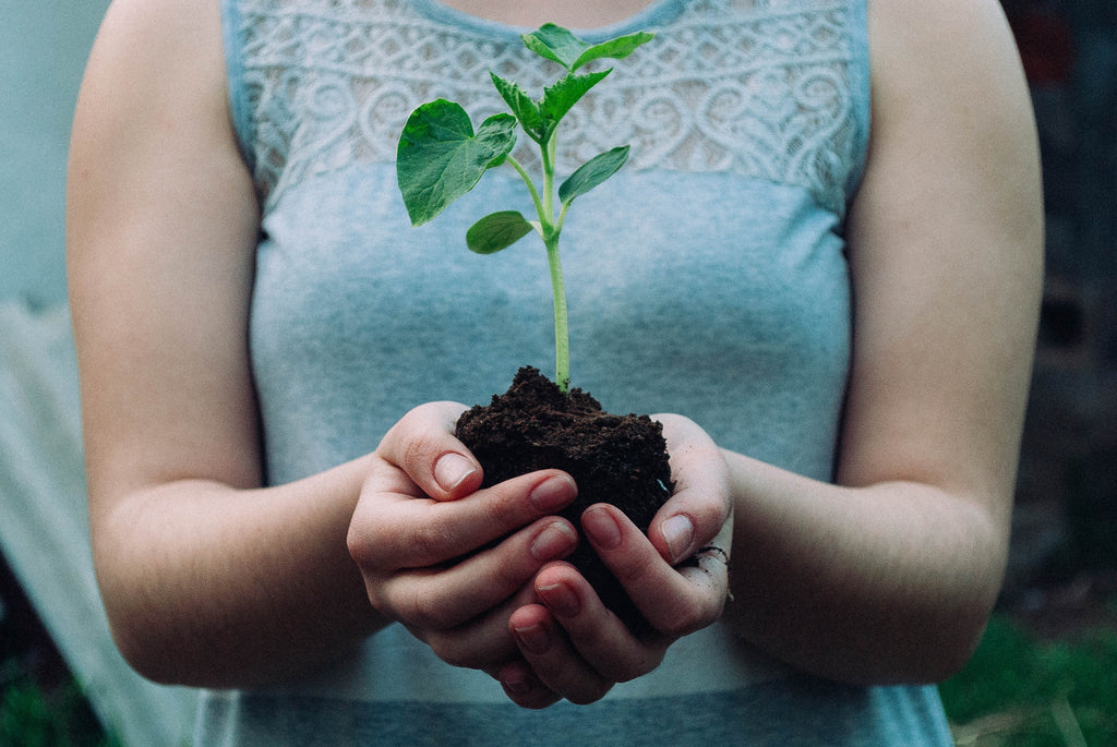 Woman holding plant in earth