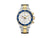 Reloj de Cuarzo Delma Diver Santiago Cronógrafo, Blanco, 43 mm, 52701.564.6.014