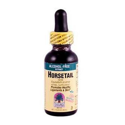 Picture of Nature's Answer Horsetail Herb Alcohol Free - 1 fl oz