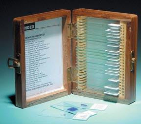 Picture of Prepared Slide Set 2 (25 Slides)