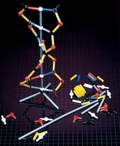 Picture of DNA Model - 12 Packets