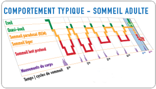 axbo reveil cycle sommeil