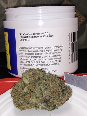 Flowr BC Pink Kush Review - Budders Cannabis