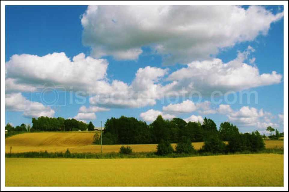 field landscape shot