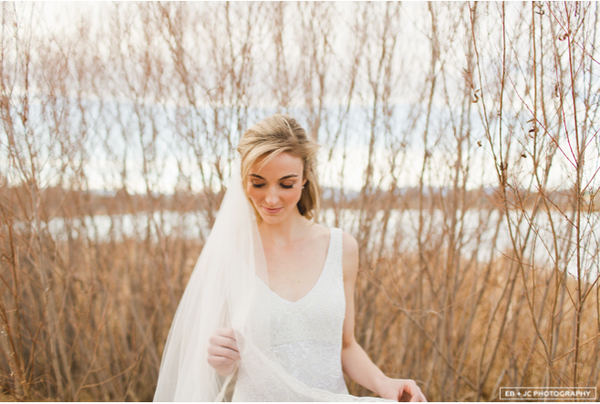 Bridal Veil and Wedding Dress 