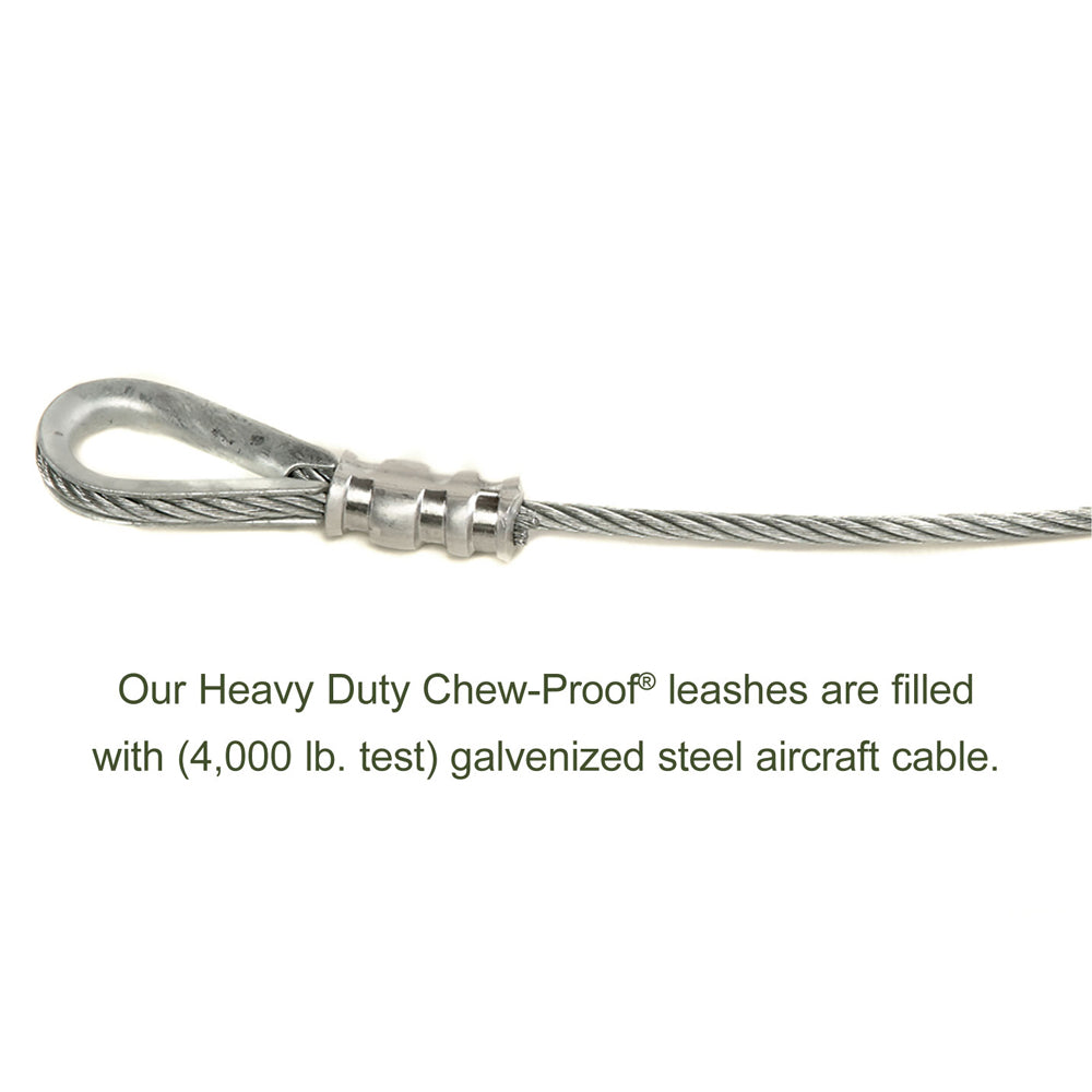 chew proof leashes