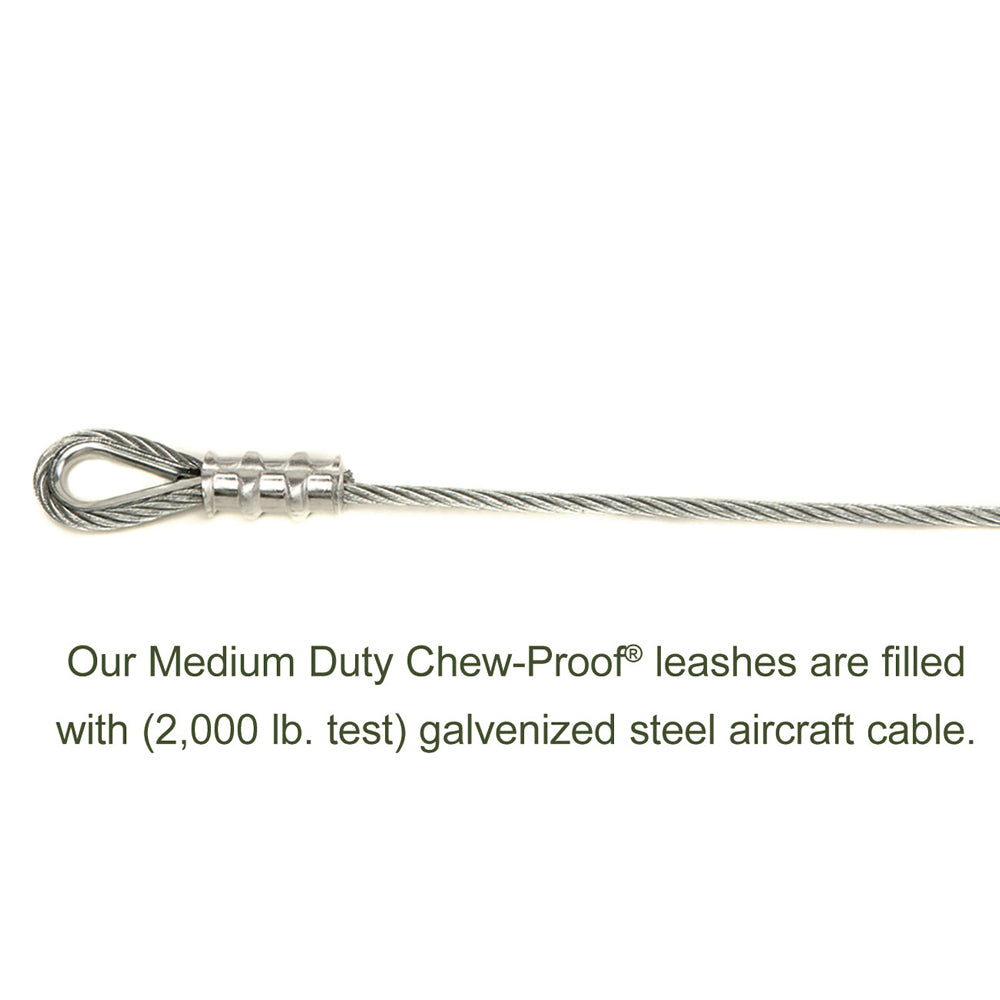 chew proof leashes