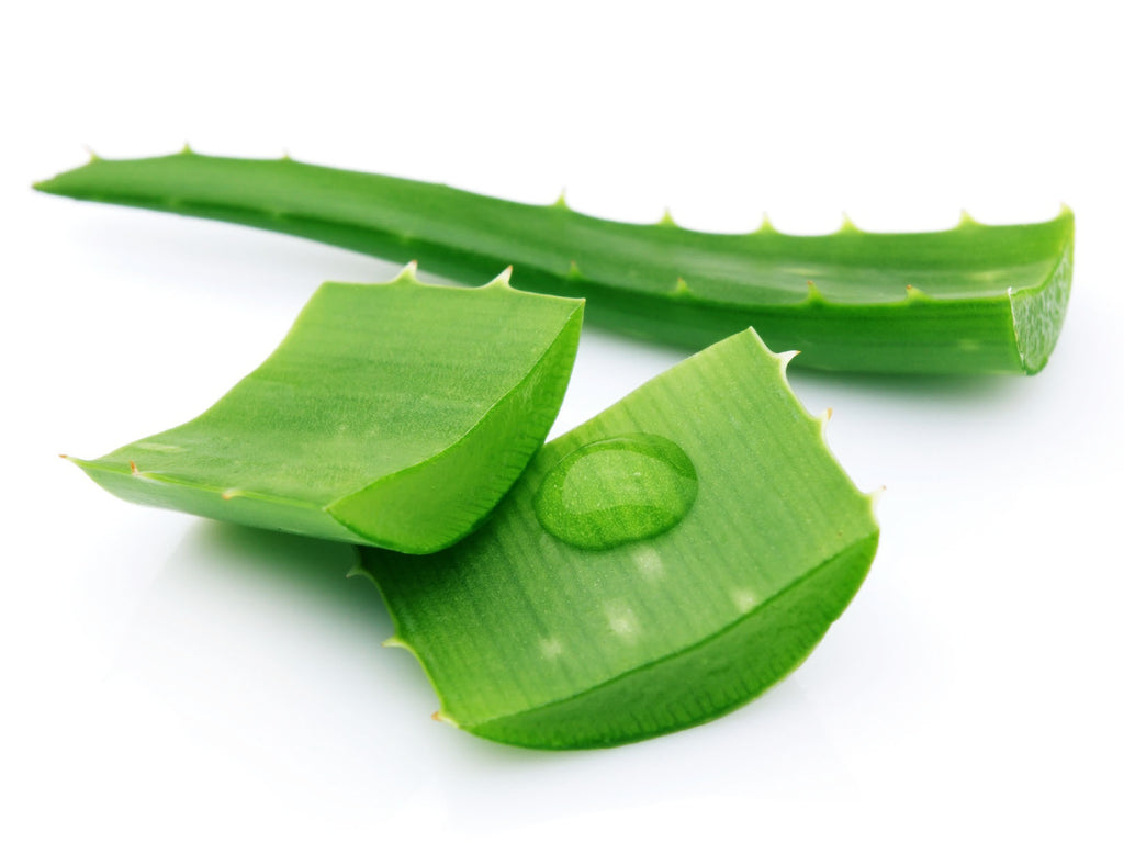 Can Aloe Treat Hyperpigmentation