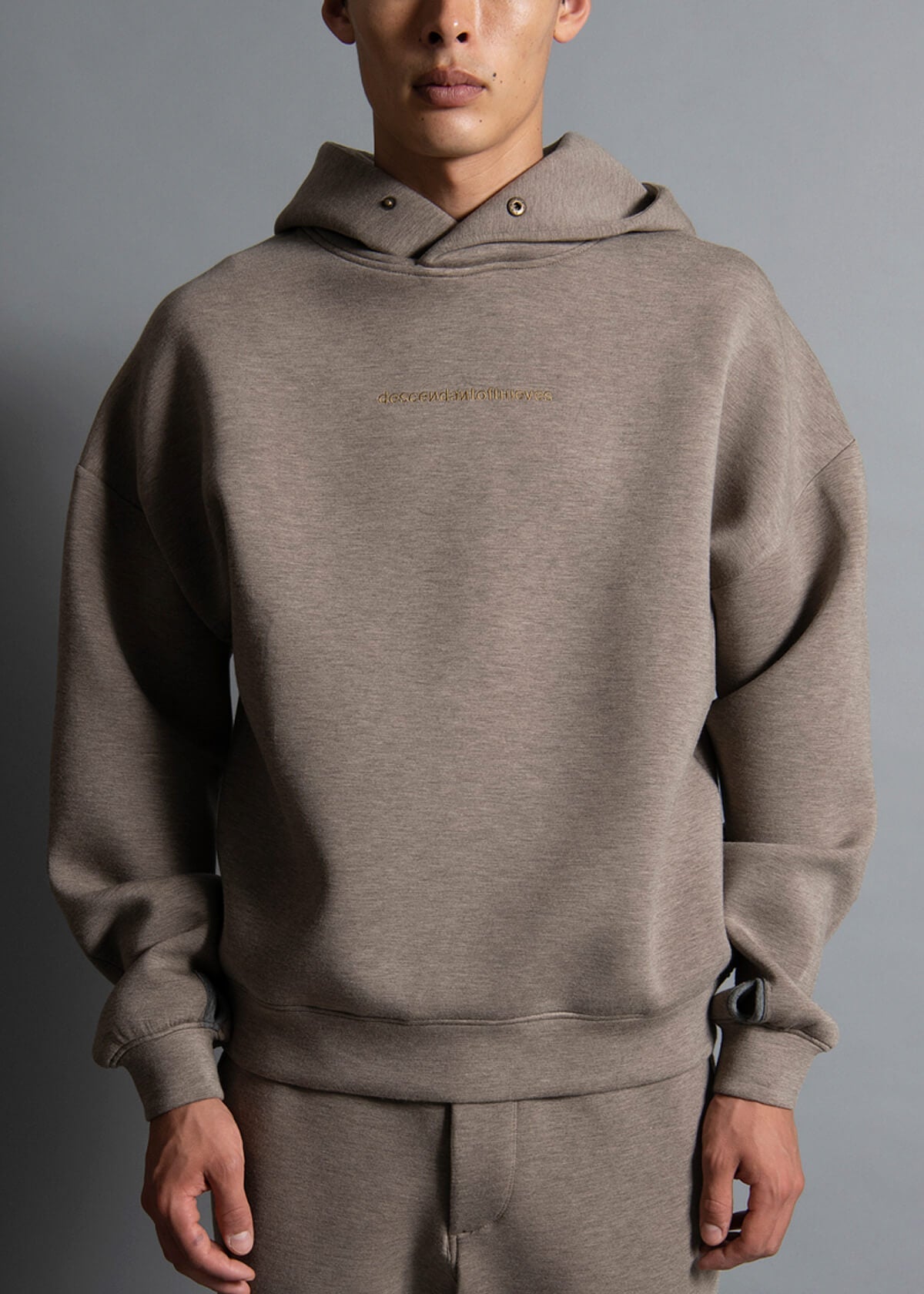 Shop Louis Vuitton Double Face Hoodie (SWEATSHIRT A CAPUCHE DOUBLE