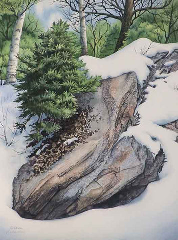 Snow and Stone, watercolour by Karen Richardson