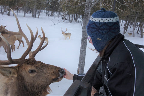 Karen Richardson feeding elk