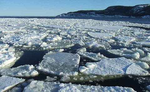 Ice Fkoes on the Saguenay River