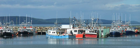 Fishing fleet at Digby, Nova Scotia