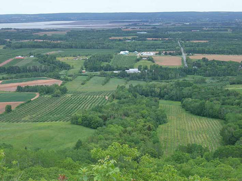 Annapolis Valley, Nova Scotia