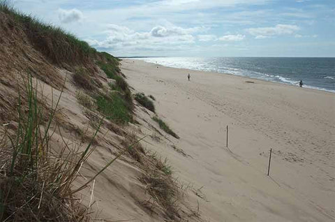 Greenwich Dunes National Park, PEI