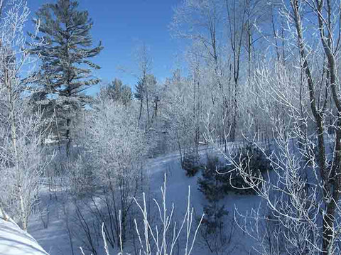 Near the Petawawa River