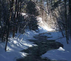 Creek in the Ottawa Valley