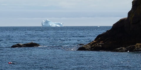 Iceberg at Petty Harbour NL photo by Karen Richardson