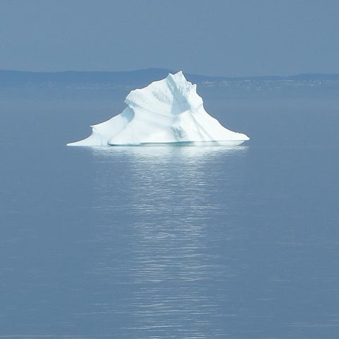 Iceberg at Freshwater Newfoundland photo by Karen Richardson