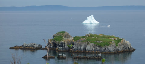 Iceberg at Freshwater NL photo by Karen Richardson