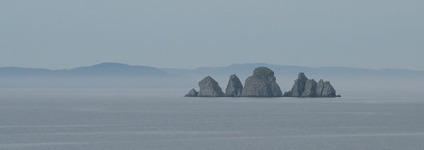 Shag Rock at Whiteway Newfoundland photo by Karen Richardson