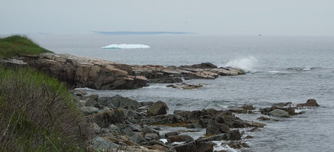 Iceberg at Hearts Delight NL photo by Karen Richardson