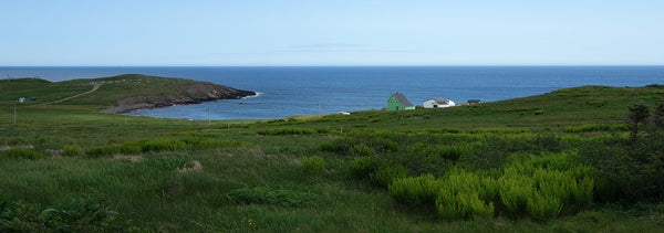 Burin Peninsula Newfoundland photo by Karen Richardson