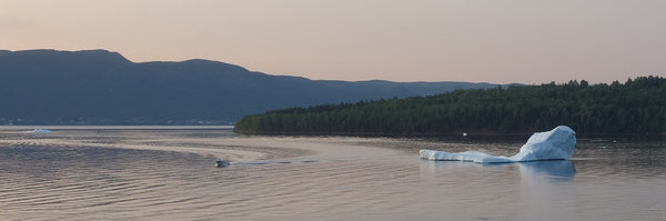 Iceberg at Kings Point Newfoundland photo by Karen Richardson